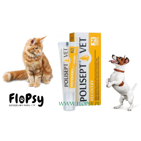 POLISEPT VET RECOVERY 12ml