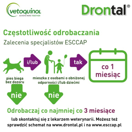 Drontal Dog Flavour 1 tabletka. Na odrobaczenie dla Psa